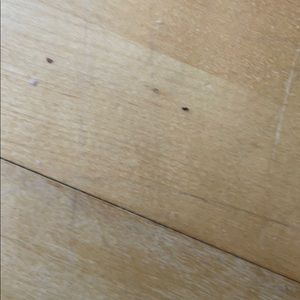 Meet your Posher, Sriya